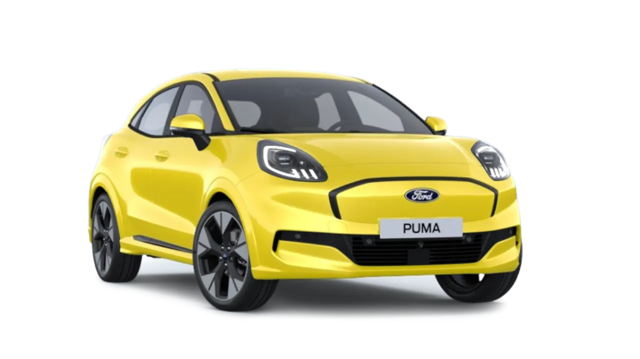 Puma-Geb-E-.png