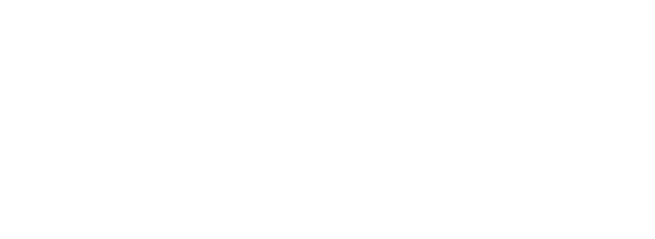 menu-ford.png